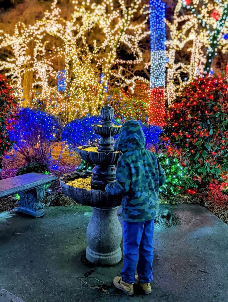 Water fountain at "Lights of JOY"