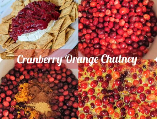 Cranberry Orange Chutney